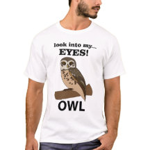 Eule schaut in meine Augen