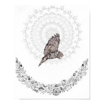 Eule-Träume 8x10 Print