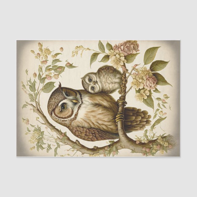 Eule und Baby Seidenpapier (Vorderseite)