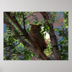 Eule und der Mond-Druck Poster
