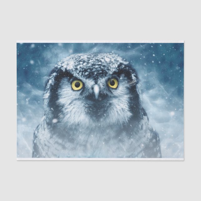Eule und Winterschneenacht Seidenpapier (Vorderseite)