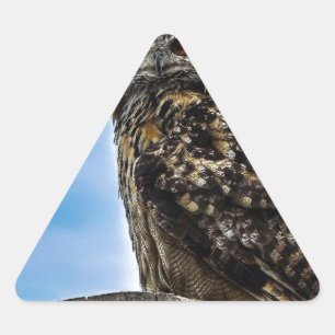 Eule Vogel Federn Tier Natur Schicksal Frieden Lie Dreieckiger Aufkleber