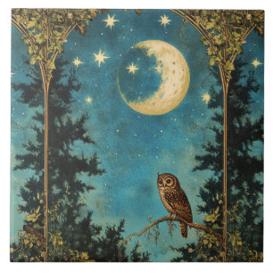 EULE VOLLMOND UND STERNENNACHT FLIESE