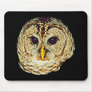 Eulen-Bild Mousepad