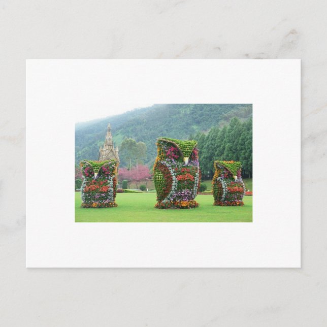 Eulen-Blumenstatuen Postkarte (Vorderseite)