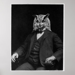 Eulen-Erfinder Poster