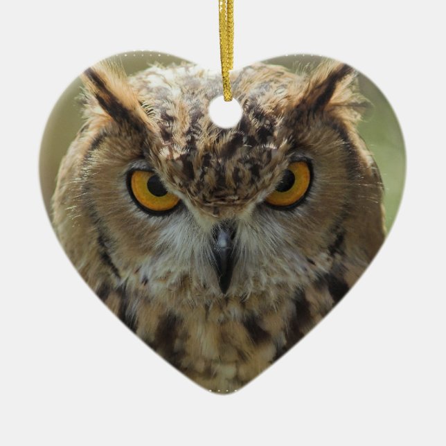 Eulen-Foto-Verzierung Keramikornament (Vorne)