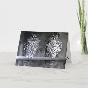 Eulen-Fotografie-Gruß-Karten Karte