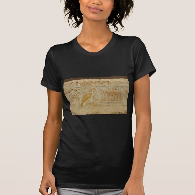 Eulen-Hieroglyphen-Detail, Hatshepsut Tempel, T-Shirt (Vorderseite)