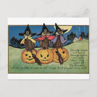 Eulen in Hexenhüten Postkarte