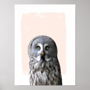 Eulen-Kinderzimmer-Wandkunst Tierporträt Poster