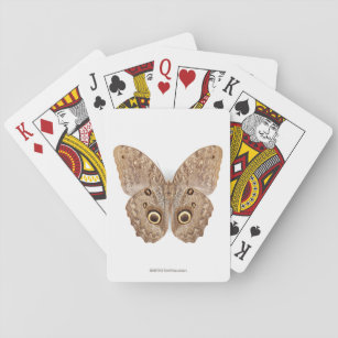 Eulen-Schmetterling Spielkarten