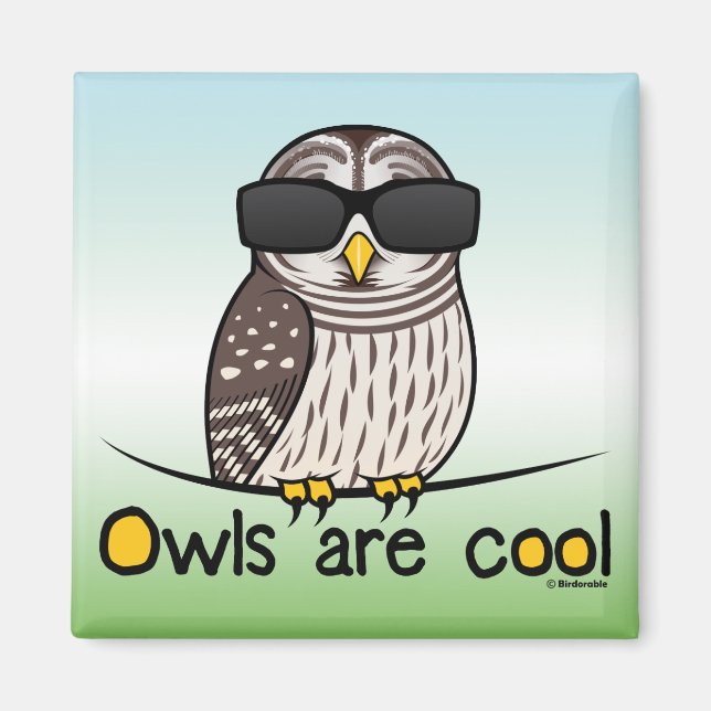 Eulen sind cool! magnet (Vorne)