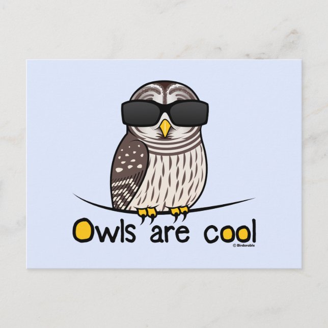 Eulen sind cool postkarte (Vorderseite)