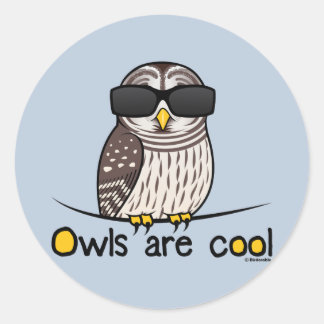 Eulen sind cool! runder aufkleber