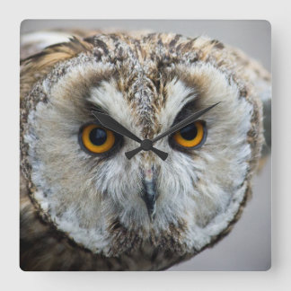 Eulen-Uhr Quadratische Wanduhr
