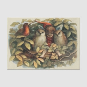 Eulen und Elfen Feen Natur Illustration Seidenpapier