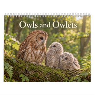 Eulen und Eulenkinder Wildlife-Saisons Kalender