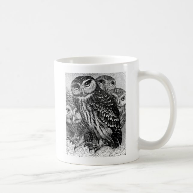 Eulen, Vintage Gravur Kaffeetasse (Rechts)