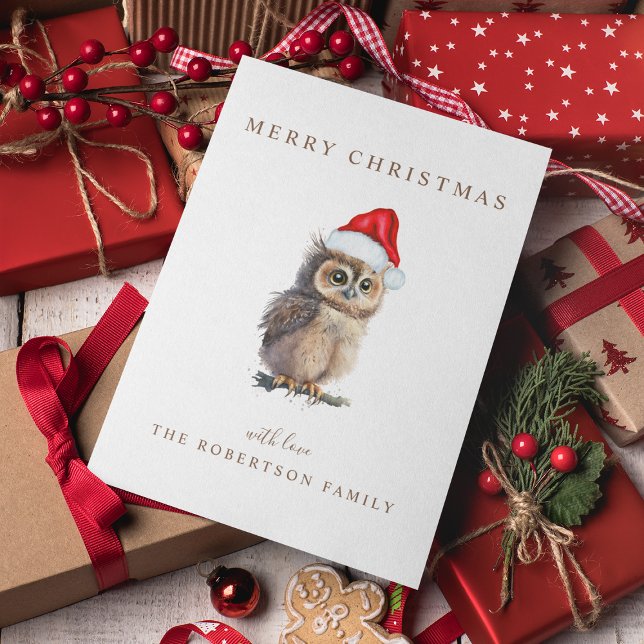 Eulen-Weihnachtsgruß Feiertagskarte (Von Creator hochgeladen)