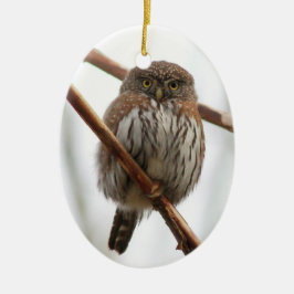 Eulen-Weihnachtsverzierung - Nordc$pygmäe-eule Keramikornament
