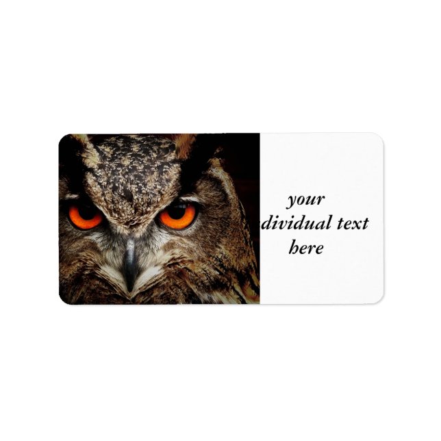 Eulenforscher Adressaufkleber (Vorne)