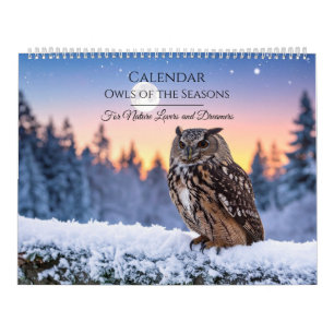 Eulenkalender – Majestätische Eulen & saisonale Wi Kalender