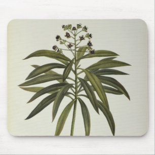 Euphorbiengummi Mellifera Mousepad