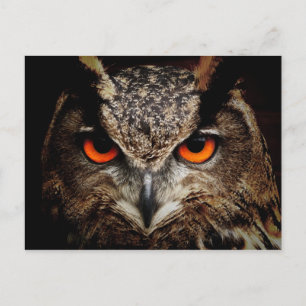 Eurasian Eagle-Owl Postkarte