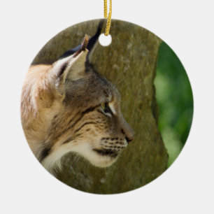 Eurasian Lynx Keramikornament