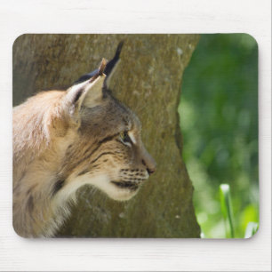 Eurasian Lynx Mousepad