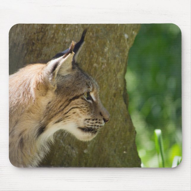 Eurasian Lynx Mousepad (Vorne)