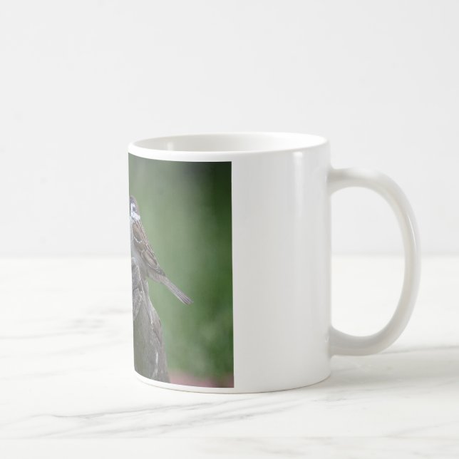 Eurasian Tree Sparrow Kaffeetasse (Rechts)