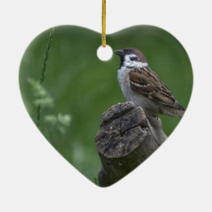 Eurasian Tree Sparrow Keramik Ornament