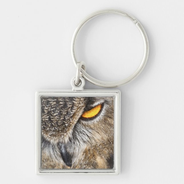 Eurasier-Eagle-Eule (Bubo Bubo) Schlüsselanhänger (Vorne)