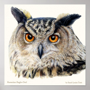 Eurasische Adler Owl Ornithological Fine Art Poste Poster
