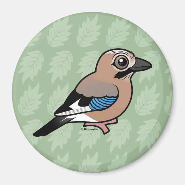 Eurasische Jay Magnet (Vorne)