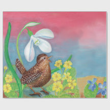 Eurasische Wren & Snowdrop & Primroses