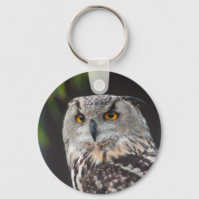Eurasischer Adler Owl Schlüsselanhänger (Vorderseite)