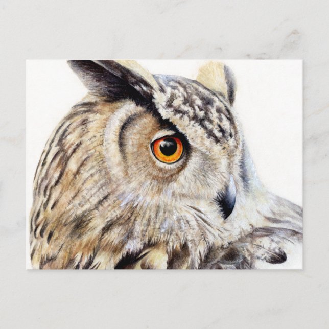 Eurasischer Adler Schokoladenart Postkarte (Vorderseite)