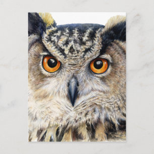Eurasischer Adler Schön Kunst, Aquarellkarton Postkarte