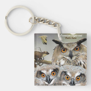 "Eurasischer Adleruhu (Bubo bubo)" Schlüsselanhänger