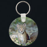 Eurasischer Luchs, junges Kätzchen Schlüsselanhänger<br><div class="desc">Eurasischer Luchs,  junges Kitten Mehr Wildcats Produkte und Eurasische Luchs,  junge Kitten Geschenke erhältlich. Gutes Geschenk für Wildkatzen Liebhaber.</div>