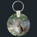 Eurasischer Luchs, junges Kätzchen Schlüsselanhänger<br><div class="desc">Eurasischer Luchs, junges Kitten Mehr Wildcats Produkte und Eurasische Luchs, junge Kitten Geschenke erhältlich. Gutes Geschenk für Wildkatzen Liebhaber.</div>
