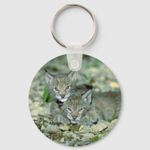 Eurasischer Luchs, junges Kätzchenspielen Schlüsselanhänger