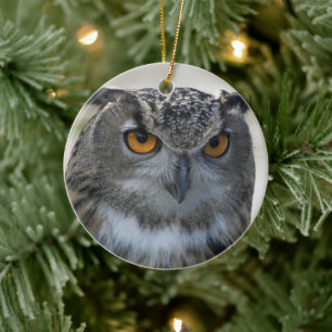 Eurasisches Eagle Owl-Foto Keramikornament
