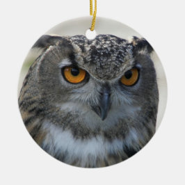 Eurasisches Eagle Owl-Foto Keramikornament