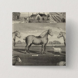 Eureka Stock Farm, Scottsville, Kansas Button
