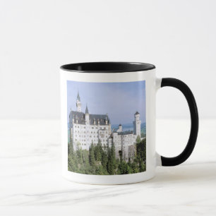 Europa, Deutschland, Schloss Neuschwanstein, gebau Tasse