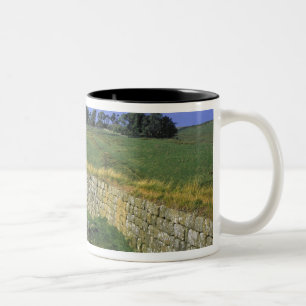 Europa, England, Hadrianswall. Die Steine von Zweifarbige Tasse
